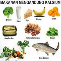 Makanan Yang Kaya Akan Kandungan Kalsium Dari Berbagai Jenis Macam