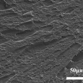 Sem Images Of The Fracture Surface Of Sample Tm A Sample Tm Kh