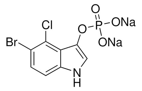 Bcip Bromo Chloro Indolyl Phosphate Toluidine Salt