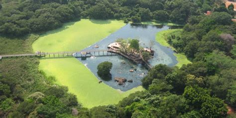 Prefeitura De Lagoa Santa Vai Realizar Concurso P Blico Cassil Ndia