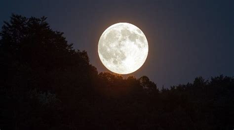 2022 Supermoon Is Buck Moon As Bucks Grow Antlers Omilights Hinglish