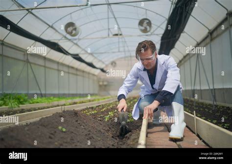 Agronomist Farmer Quality Inspector Holding Are Collecting Data In