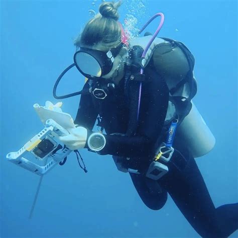 Пин от пользователя J J на доске Scuba Diving Women 7 в 2024 г Дайвинг