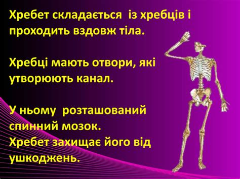 Презентація "Скелет і м'язи"