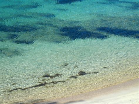 Безплатна снимка : плаж, море, пясък, океан, бряг, вълна, под вода, риф ...
