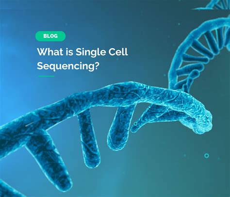 What Is Single Cell Sequencing Your Guide To Scrna Seq