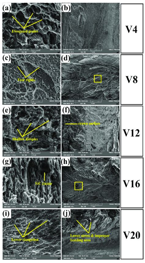 Sem Fractography Of The Tensile Specimens With Macrographs Of A B