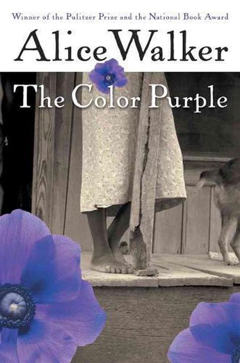 The Color Purple Alice Walker 9780151191543 Boeken