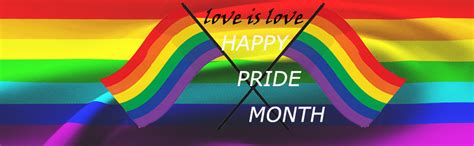 Amazon Homissor Rainbow Gay Pride Flag 3x5 Ft LGBTQ Pride Parade Banner Flags Fade