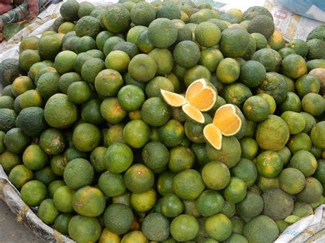 Kalamansi Lime Fruit - Free photo on Pixabay - Pixabay