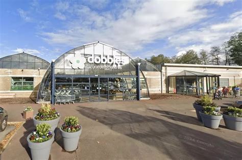 Huntingdon Dobbies Among The 17 Branches Of Garden Centre Chain Set To