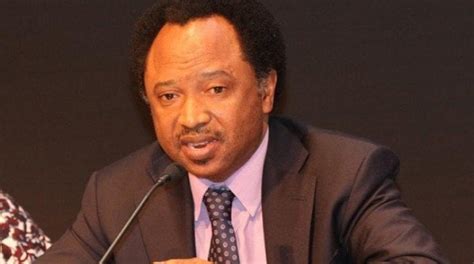 Shehu Sani Reveals Senators Monthly Salary Estimated Running Cost