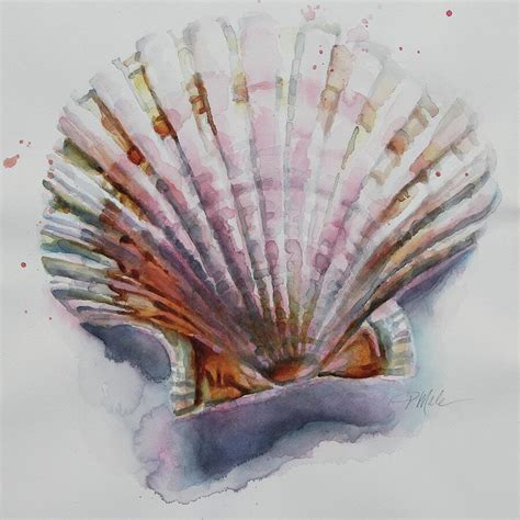 Scallop Seashell Painting By Tracy Male Pixels