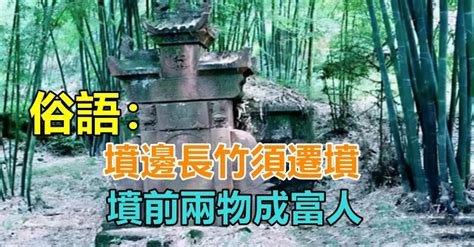 古話常說：「墳邊長竹須遷墳，墳前兩物成富人」是什麼意思？ 「兩物」指什麼？祖先的智慧不容小覷！ 讀讀