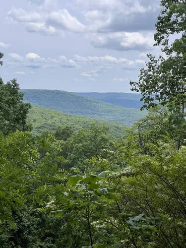 10 Best Trails and Hikes in Sewanee | AllTrails