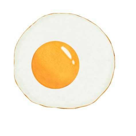 Drawing of a fried egg isolated on transparent background for healthy ...