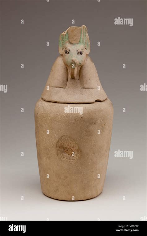 Canopic Jar Representing The Deity Duamutef MET 12 183 1d1 2 EGDP015150