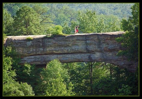 43 Best Red River Gorge Natural Bridge And Daniel Boone National Forest Ky Images On Pinterest