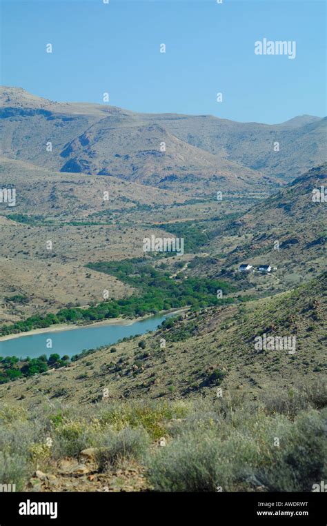 South Africa Mountain Zebra National Park Karoo Stock Photo Alamy