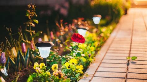 Solar Powered Landscape Lights Pros And Cons – Forbes Home