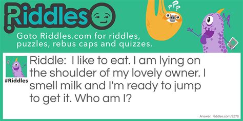 Guess What! - Riddles.com