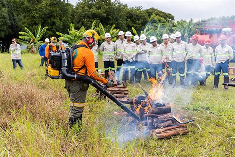 Bracell apresenta balanço anual no combate a incêndios florestais