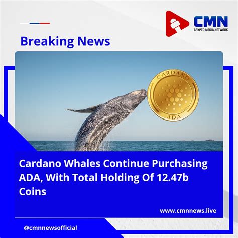 Cardano Whales Continue Purchasing ADA With Total Holding Of 12 47b