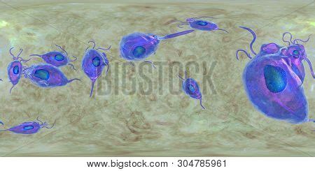 Trichomonas Vaginalis Image Photo Free Trial Bigstock