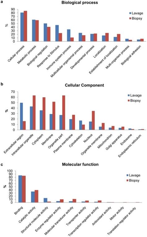 A Biological Process B Cellular Component C Molecular Function