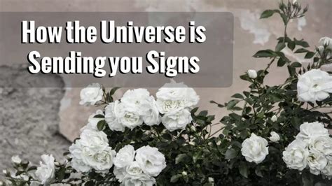 How The Universe Is Sending You Signs