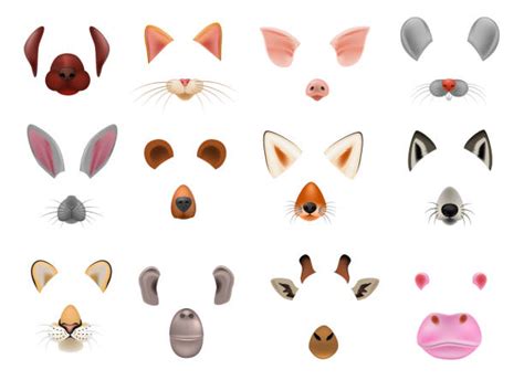 animal ears clipart 20 free Cliparts | Download images on Clipground 2024