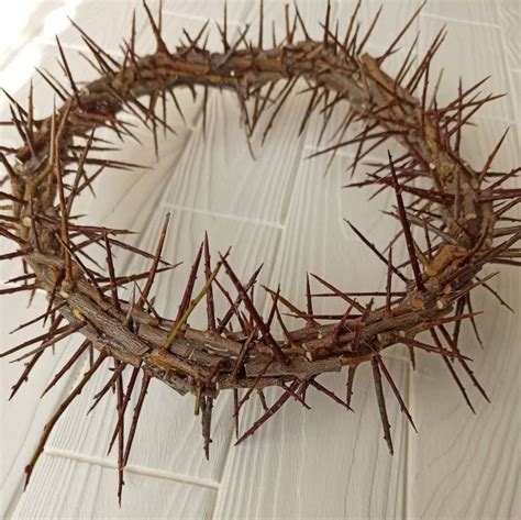 Sharp Real Thorn Jesus Christ Crown Thorns Crown Home Decor Door