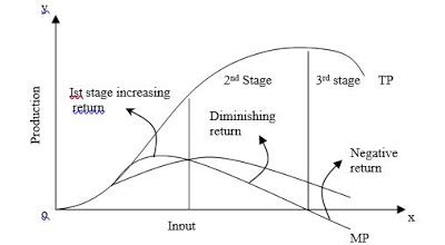 Explain And Show Relationship Among Total Physical Product Average