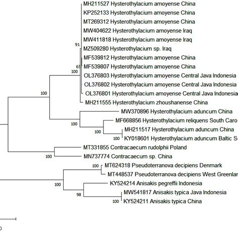 Molecular Phylogenetic Tree Showing Genetic Relationships Between Download Scientific Diagram