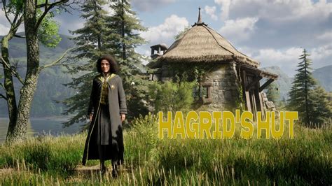 Hagrid S Hut Exploring Hogwarts Grounds Hufflepuff Hogwarts