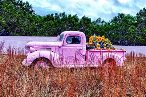 Hot Pink 1939 47 Dodge Pickup In The Garden Pink Truck Classic