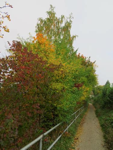 Ostbay Weg Steil Eisenbahnbr Cke Herbst B Flickr