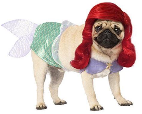 36 disfraces de Halloween para perros más divertidos 2020 Tu Mejor Vida