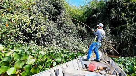 É ASSUSTADOR O TAMANHO DOS PEIXES QUE PEGAMOS NESSA PESCARIA DE TRAÍRA