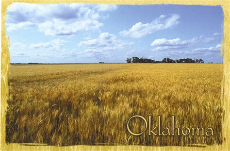 Oklahoma Wheat Field Postcard Flickr Photo Sharing