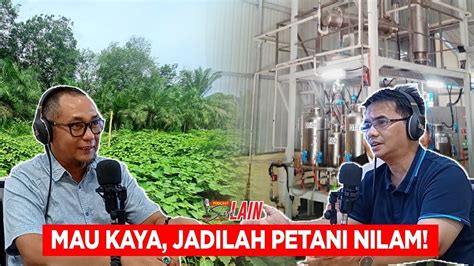 Podcast Sisi Lain Mau Kaya Jadilah Petani Nilam Youtube