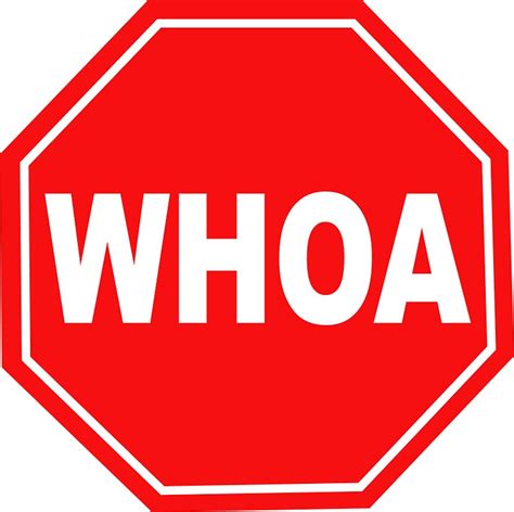 "WHOA!" Stickers by Kipper Doodles | Redbubble