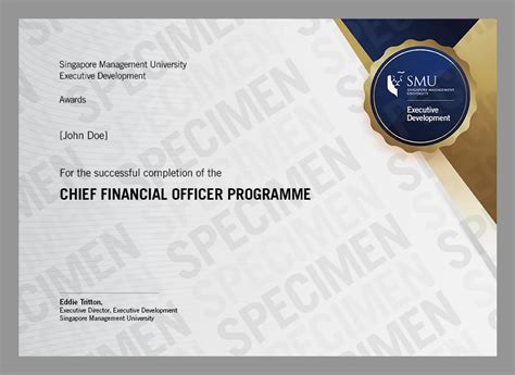 cfo   smusingapore chief financial officer programme  smu
