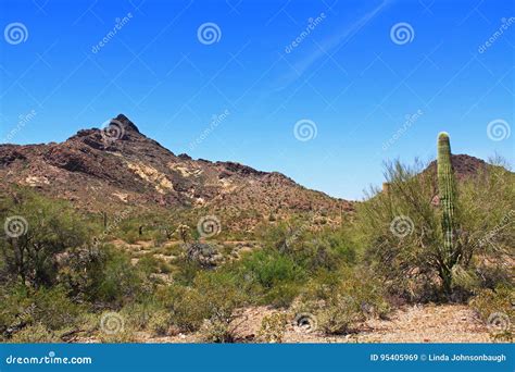 Pinkley Peak In Organ Pipe Cactus National Monument Stock Image Image