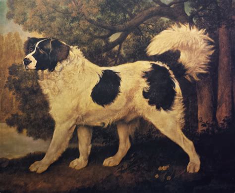 Museum Dogs — George Stubbs British 17241806 Portrait Of A