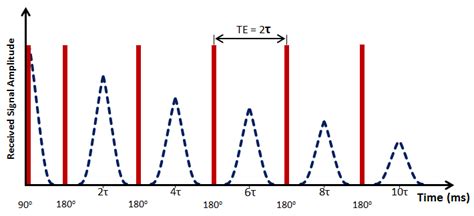 Spin Echo And Cpmg Pulse Sequence For Nmr Fundamentals Of Fluid Flow