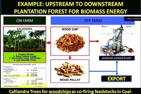 APHI Dukung Pemanfaatan Biomassa Kayu Untuk Transisi Energi ANTARA News