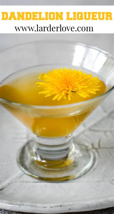 Homemade Dandelion Liqueur Recipe Larder Love