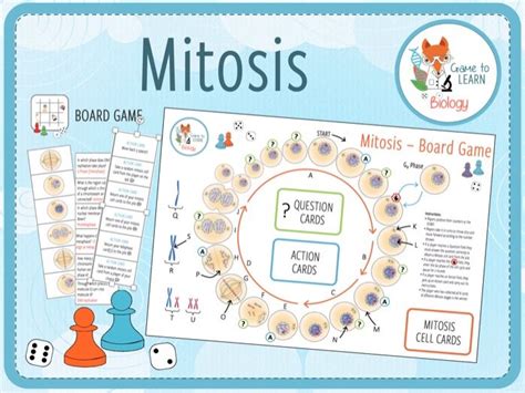 11 Biology Board Games For Home And School