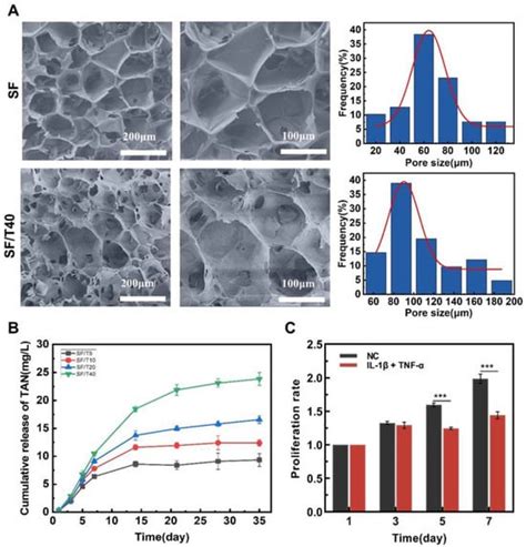 Biomedicines Free Full Text Tanshinone Iia Facilitates Efficient